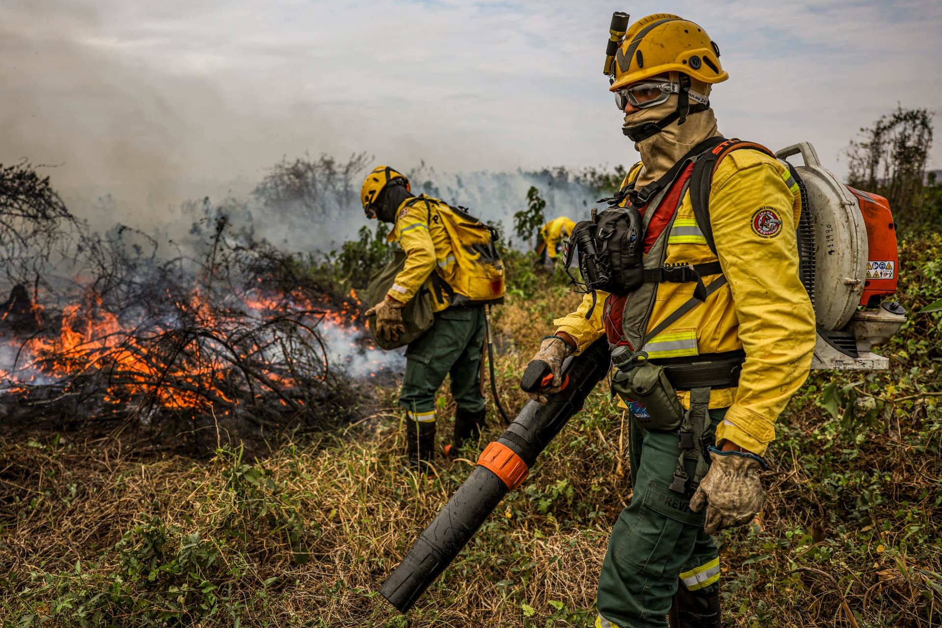 Brigadistas do IBAMA combatem incêndio no Pantanal com sopradores de folhas, vestindo uniformes amarelos e capacetes