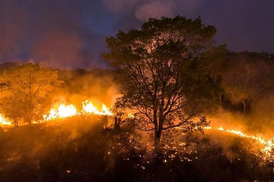 Incêndio florestal avançando sobre a vegetação durante a noite, com chamas e fumaça iluminando o cerrado