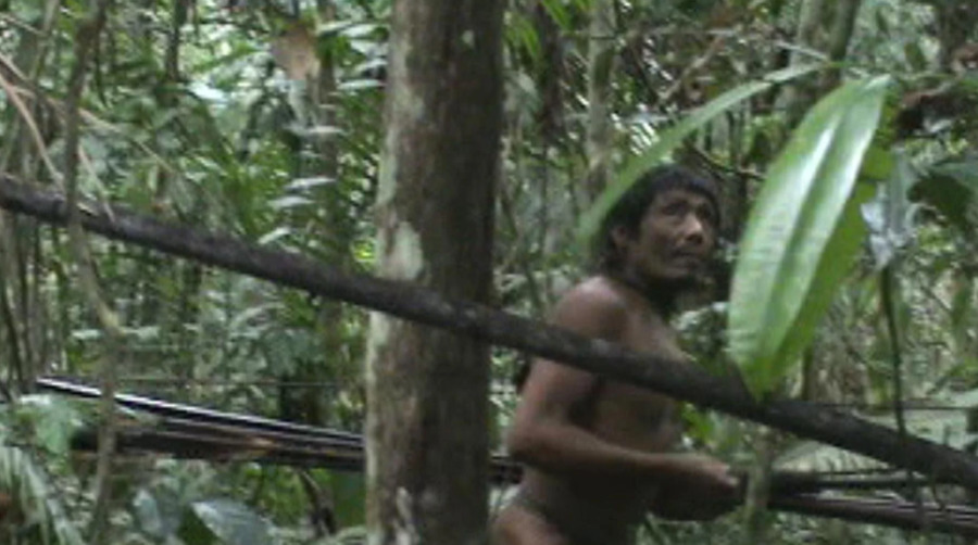 Indígena isolado registrado em meio à floresta na região da Terra Indígena Kawahiva do Rio Pardo, em Mato Grosso