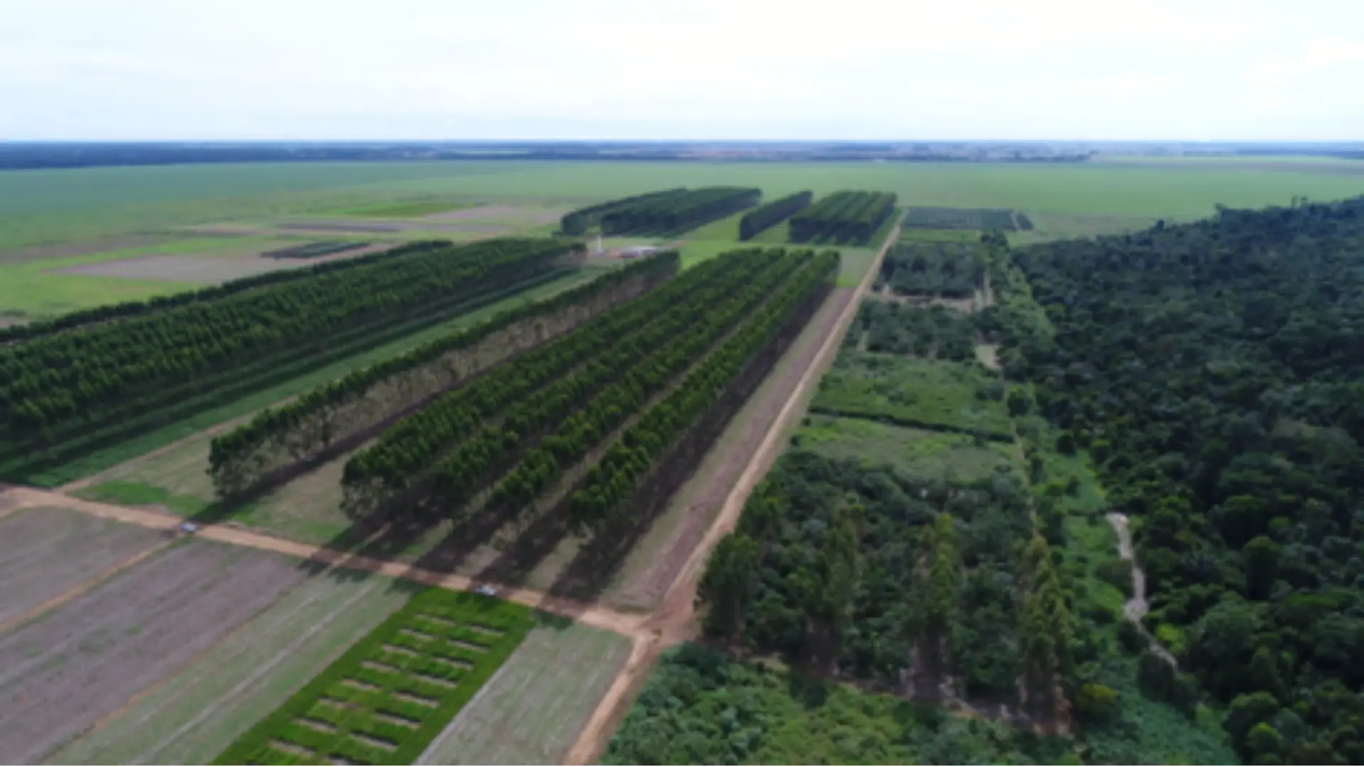 Vista aérea de sistema agroflorestal com faixas de cultivo, mata preservada e estradas rurais