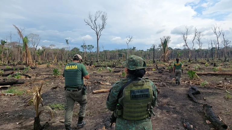 Fiscais do Ibama e da Polícia Militar Ambiental inspecionam área de desmatamento em Mato Grosso