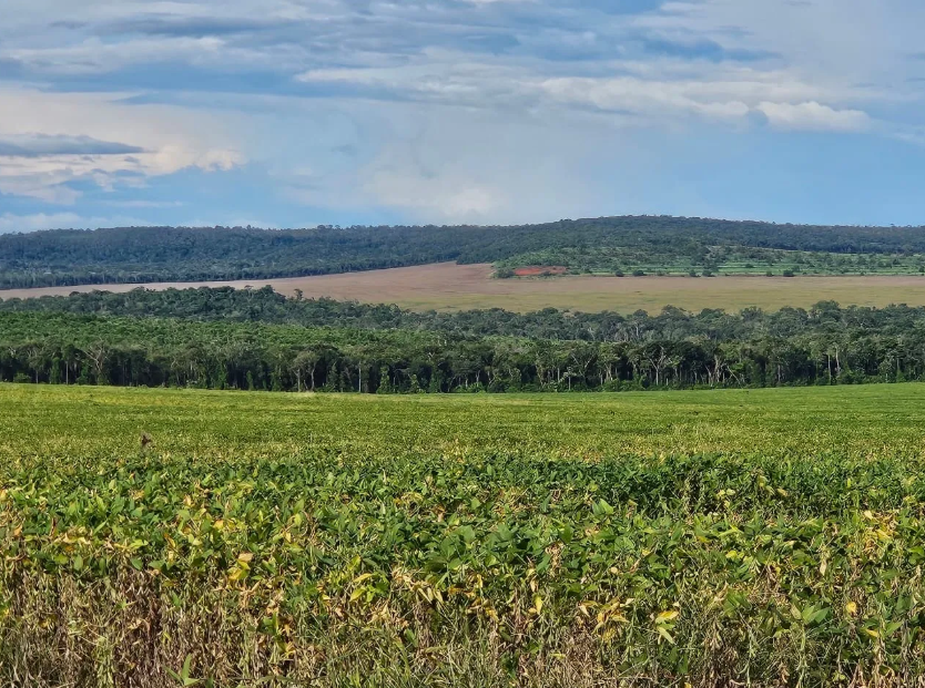 Vista panorâmica de propriedade rural com lavoura de soja em primeiro plano, mata nativa preservada e horizonte de cerrado sob céu azul